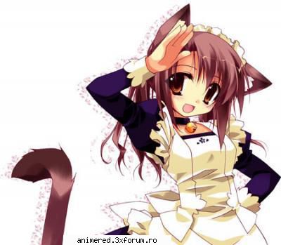 Sakura - Sakura: Kawaiii - Album
