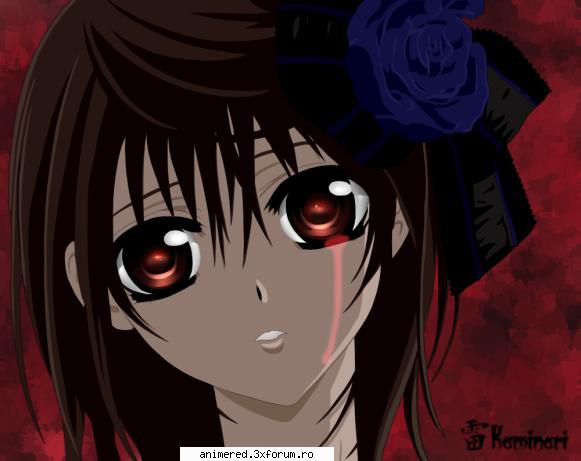 Yuuki Cross/Kuran - O ador in anime,in manga nu - Vampire Knight